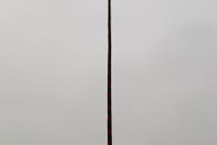 5414d749-7538-4ad4-9ef2-ff81caa69fc0