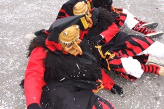 Fasnet4