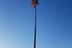 IMG-20180213-WA0087