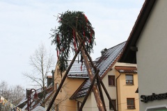 Narrenbaum21
