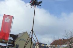narrenbaum09